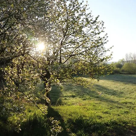 Gaestehaus Roensch Апартаменты